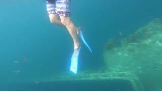 2022.07 Lots of Sergeant Major Fish around the Antilla Shipwreck, Aruba (Video #1)