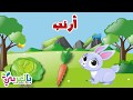 معلومات عن الأرنب  للاطفال - حيوانات المزرعة | Rabbit for kids