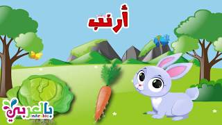 معلومات عن الأرنب  للاطفال - حيوانات المزرعة | Rabbit for kids