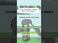 Why Did Early Humans Bury Their Dead?