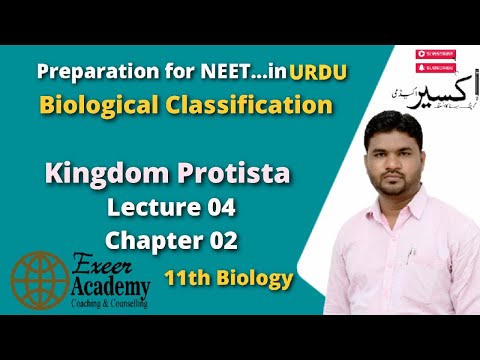 Kingdom Protista | BC LS-04 | Biological Classification | حیاتیاتی درجہ بندی | NEET | NCERT| Urdu