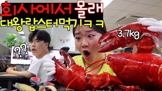 회사에서 몰래 대왕 랍스터 먹방🦀ㅋㅋㅋㅋ(feat캐리비안의 해적)