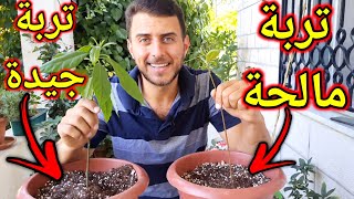 علاج ملوحة التربة الزراعية بأسهل طريقة في المنزل 👍🏻