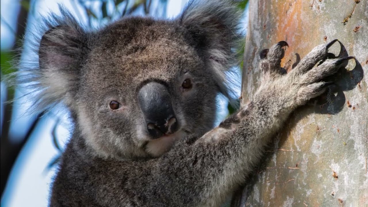 Rainy days and Jaxson