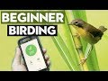Things ALL Beginner Birders Should Do
