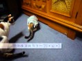 【三毛隊】手作り術後服_120216