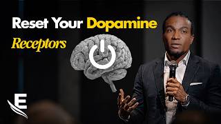 Reset Your Dopamine Receptors Reverse the Brain Damage