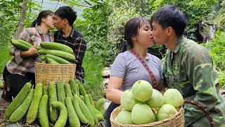 Download Lagu Harvesting squash and melons to sell at the market by a kissing couple in the middle of a stream MP3