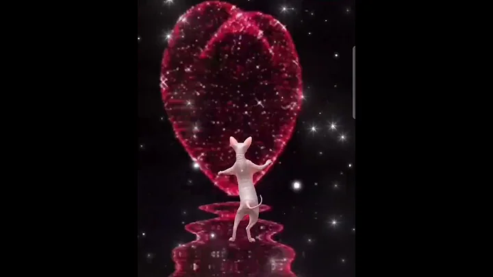 Watch the video about #funny #crazy #story #happy #youtubeshorts #sphinx #shortvideo #sphynx #comedy #cute #pink