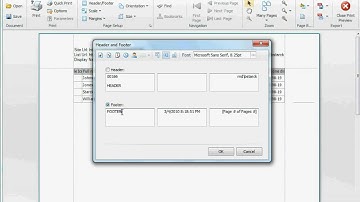 Print Preview of the data grid