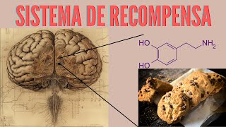 Fisiología del Sistema de Recompensa y el Placer