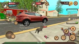 СИМУЛЯТОР Маленького КОТЕНКА #16 /cat simulator online СИМУЛЯТОР Маленького КОТЕНКА #16 /cat simulator online