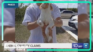 Woman claims animal cruelty after watching a man throw a cat in the water repeatedly in Pasco County