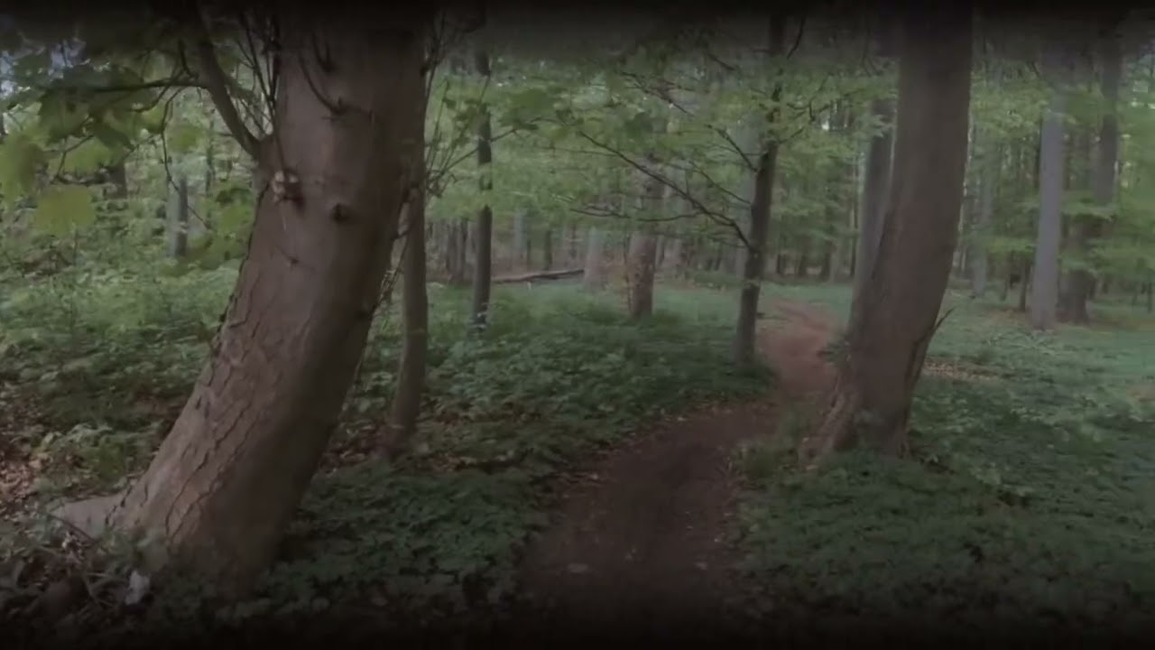 Hexenwald Braunschweig