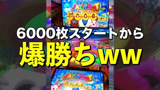 【貯メダル全部】メダル6,000枚、カラコロッタにぶち込んだら爆勝ちしましたwwwジャックポット 大当たり
