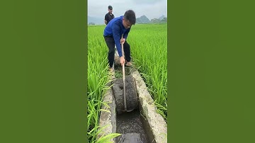 The process of cleaning grass from a drain - Goodtools and machinery make work easy
