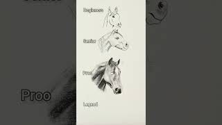 #horse  #art