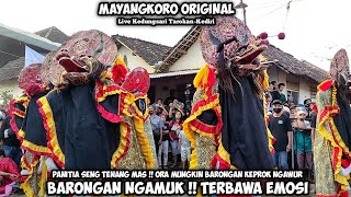 BARONGAN Ngamuk Terbawa EMOSI ❗ Jaranan MAYANGKORO ORIGINAL Live Kedungsari Tarokan Kediri