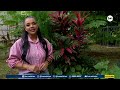 Mundo Verde: Centro de Recuperación de Vida Silvestre