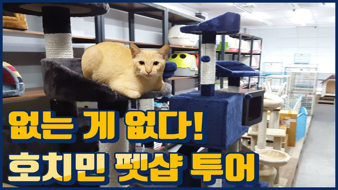  The Biggest Pet Shop In Vietnam 