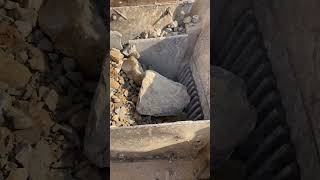ASMR Rock Crushing: Giant Jaw Crusher Smashes Big Stones | Stone Crusher Machine at Work #Stonecrush