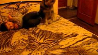 MVI_7793.AVI