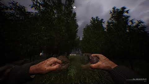 Post Scriptum Kill Compilation