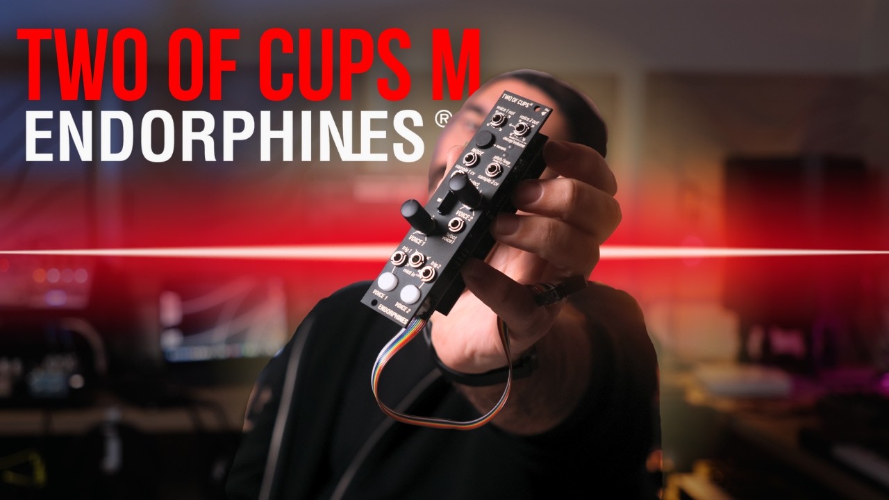 NEW Endorhines Module!! // Two of Cups M! - YouTube