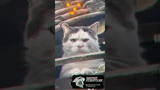 Бедные монтажники мебели. Когда установщик переглянулся с дизайнером ) #юмор #шкаф #базисмебельщик