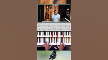Thumbnail of Blackbird 🐦‍⬛ The Beatles 🎹 Piano Cover & Tutorial