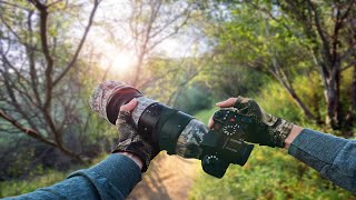 Silent POV Bird Photography in a Canyon Gorge