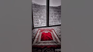 من [الجزء الثاني عشر] للقارئ أمين موسى.