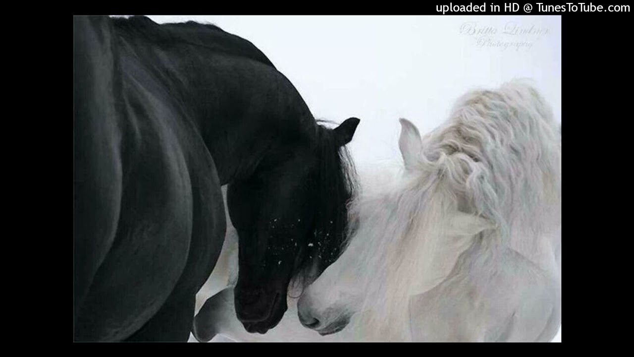 (free) swapa type beat "kopfhaut" p. toydrugg