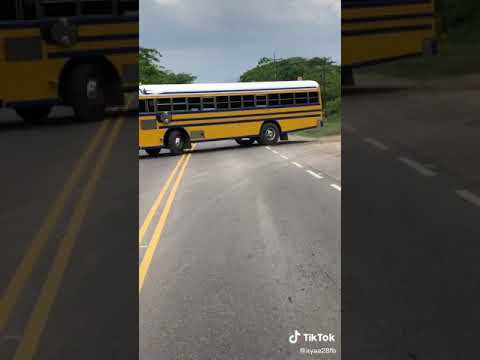 Video: ¿Los autobuses escolares son de color amarillo anaranjado?