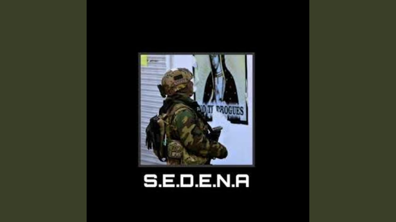 S.E.D.E.N.A - YouTube