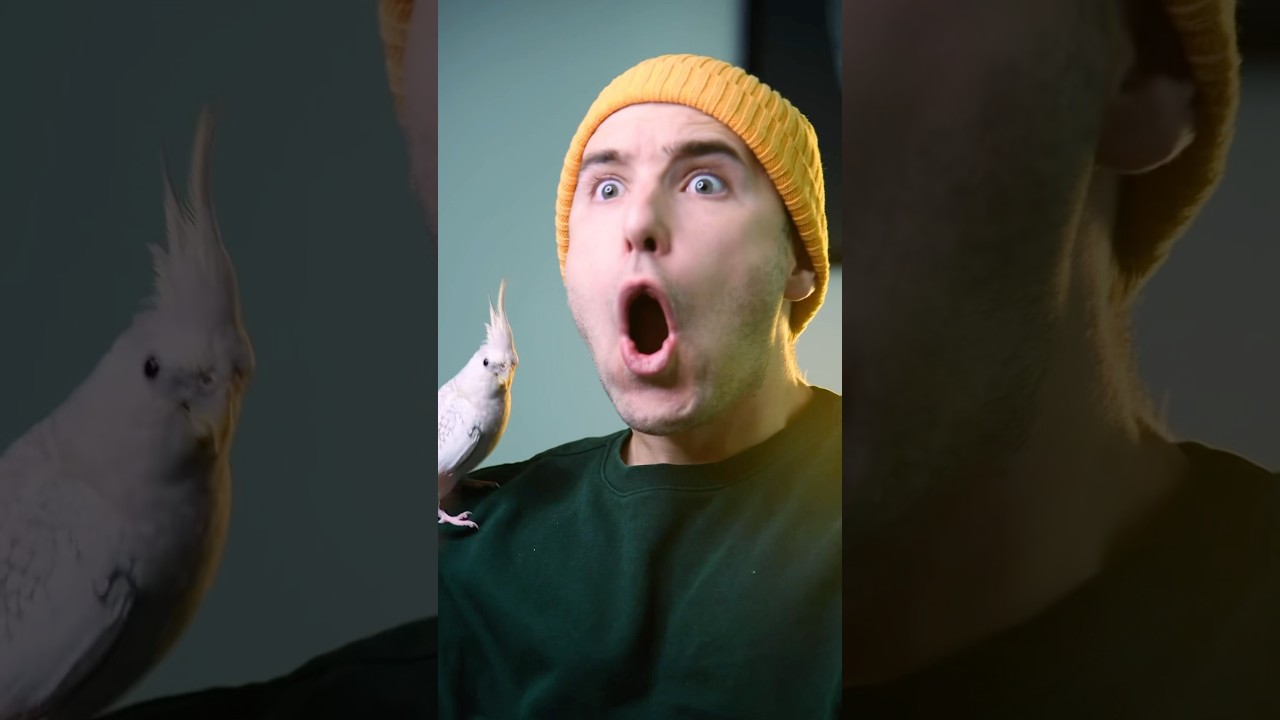 Disney Theory Part 3 😱🤯😨 #disney