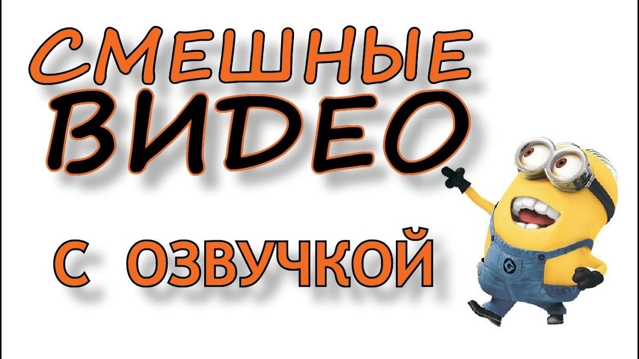 Включи приколы с озвучкой. Приколы с озвучкой. Смешные видео с озвучкой.