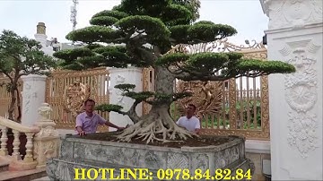 Cổng Cửa Cầu thang Lan can Hàng rào Hoa bông gió Giường ghế nhôm đúc tại Mang Yang Pa Gia Lai