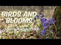 Spring Woodland Hike #nature #hiking #forest