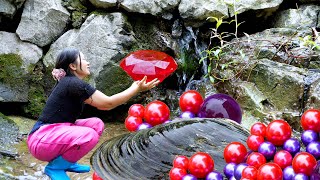 🎁😱Giant clams in mountain spring water, filled with precious pearls, are extremely beautiful