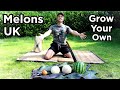 Growing melons seed to harvest  cantaloupe  watermelons  pruning  taste test  temperate climate