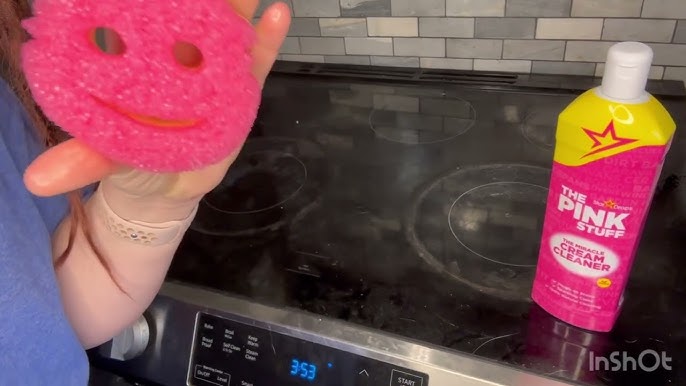 TESTING out THE PINK STUFF and SCRUB DADDY! Is it Good as Everyone