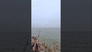 We were calling our shots and worked out great ! #duckhunting #waterfowl #hunting @bossshotshells