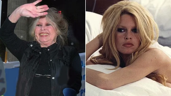 Brigitte Bardot, 91, rushed to hospital ‘with serious illness’ and undergoes surgery