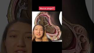 When would you lose your mucus plug?