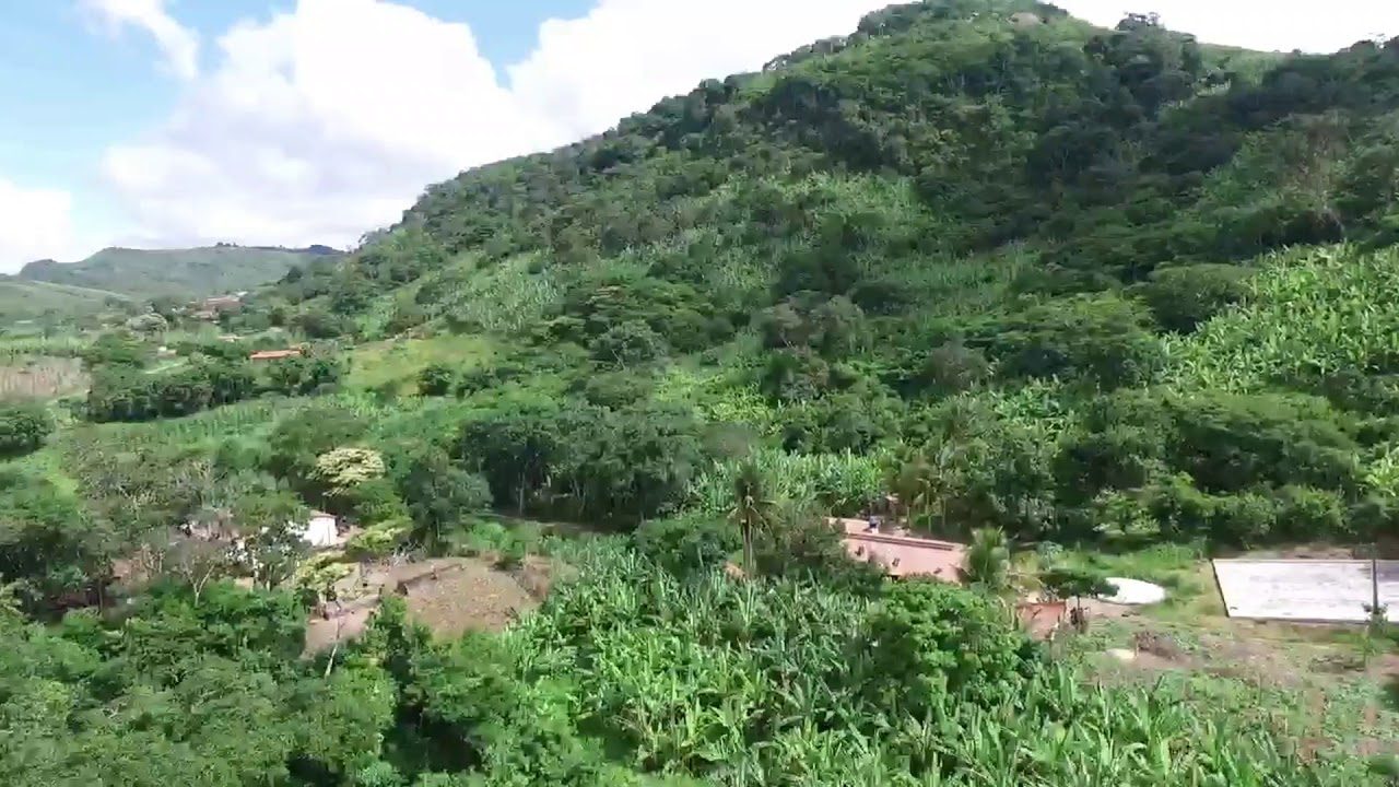 Palmácia Ceará fonte: i.ytimg.com