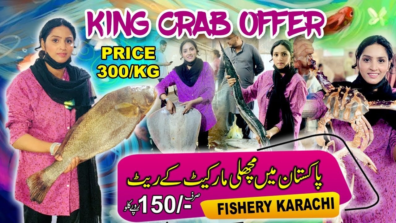 Karachi Fisheries Largest Fish Market Current Price And Info Export Karachi Fisheries Largest Fish Market Current Price And Info Export