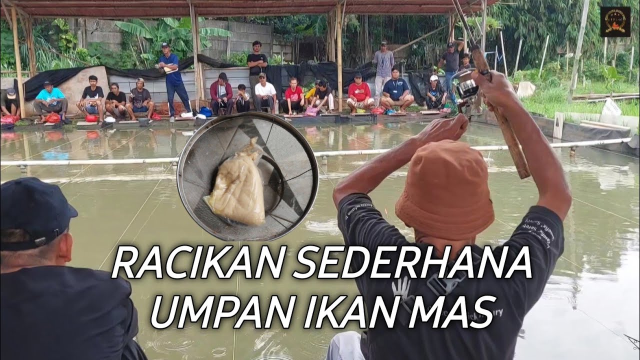 RACIKAN UMPAN IKAN MAS || MUDAH TAPI MEWAH