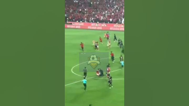 بدون اسباب "لحظة مطاردت شيكابالا لرامي ربيعه بعد فوز الاهلي بالسوبر