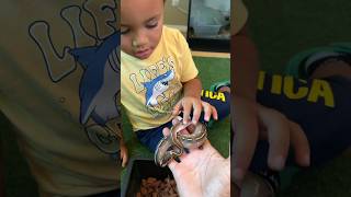 Are Kids Safe Around Ball Pythons 😇🐍